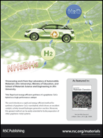 Graphical abstract: Back cover