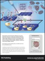 Graphical abstract: Back cover