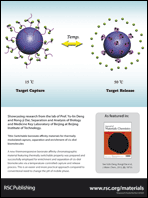 Graphical abstract: Inside back cover