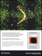 Graphical abstract: Back cover