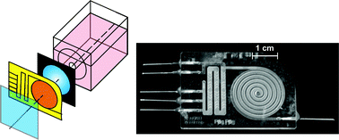 Graphical abstract: Rapid determination of vitamin B12 concentration with a chemiluminescence lab on a chip