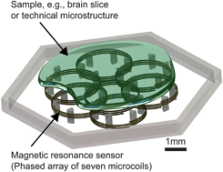 Graphical abstract: Lab on a chip phased-array MR multi-platform analysis system