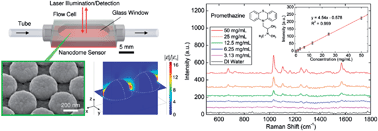 Graphical abstract: Biochemical sensor tubing for point-of-care monitoring of intravenous drugs and metabolites