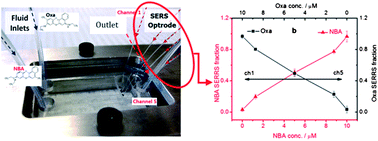 Graphical abstract: Surface-enhanced Raman scattering (SERS) optrodes for multiplexed on-chip sensing of nile blue A and oxazine 720