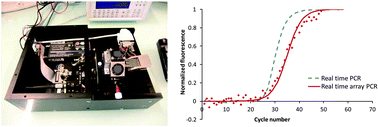 Graphical abstract: Real time quantitative amplification detection on a microarray: towards high multiplex quantitative PCR