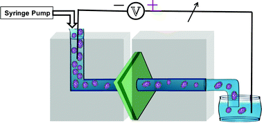 Graphical abstract: Electrical fingerprinting, 3D profiling and detection of tumor cells with solid-state micropores