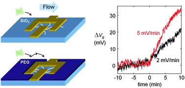 Graphical abstract: Increasing the detection speed of an all-electronic real-time biosensor