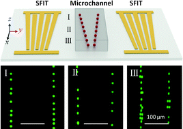 Graphical abstract: Tunable patterning of microparticles and cells using standing surface acoustic waves