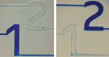 Graphical abstract: Antigen-responsive, microfluidic valves for single use diagnostics