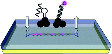 Graphical abstract: Microfluidic nanoplasmonic-enabled device for multiplex DNA detection