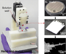 Graphical abstract: Immunosensor towards low-cost, rapid diagnosis of tuberculosis