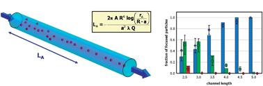 Graphical abstract: Single line particle focusing induced by viscoelasticity of the suspending liquid: theory, experiments and simulations to design a micropipe flow-focuser