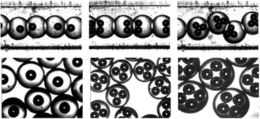 Graphical abstract: Controllable gas/liquid/liquid double emulsions in a dual-coaxial microfluidic device