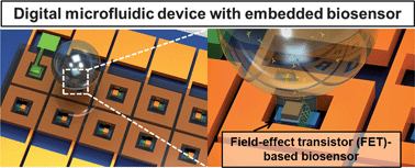 Graphical abstract: Integration of field effect transistor-based biosensors with a digital microfluidic device for a lab-on-a-chip application