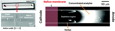 Graphical abstract: Nanofluidic preconcentration device in a straight microchannel using ion concentration polarization