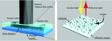 Graphical abstract: Printed two-dimensional photonic crystals for single-step label-free biosensing of insulin under wet conditions