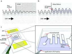 Graphical abstract: UV epoxy bonding for enhanced SAW transmission and microscale acoustofluidic integration