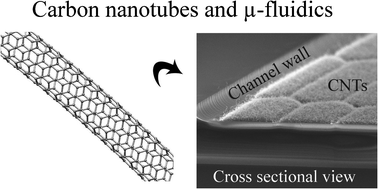 Graphical abstract: Carbon nanotube based stationary phases for microchip chromatography