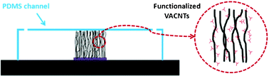 Graphical abstract: Nanoporous micro-element arrays for particle interception in microfluidic cell separation