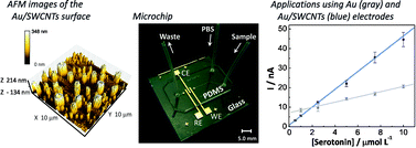 Graphical abstract: Glass/PDMS hybrid microfluidic device integrating vertically aligned SWCNTs to ultrasensitive electrochemical determinations