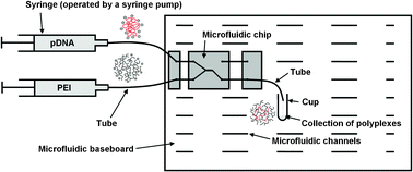 Graphical abstract: Optimized preparation of pDNA/poly(ethylene imine) polyplexes using a microfluidic system