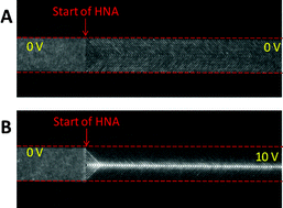 Graphical abstract: Continuous-flow biomolecule concentration and detection in a slanted nanofilter array