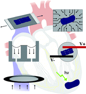 Graphical abstract: Microsystems for biomimetic stimulation of cardiac cells