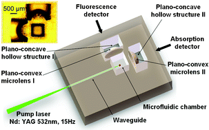 Graphical abstract: Femtosecond laser processing for optofluidic fabrication