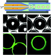 Graphical abstract: Controllable microfluidic production of gas-in-oil-in-water emulsions for hollow microspheres with thin polymer shells