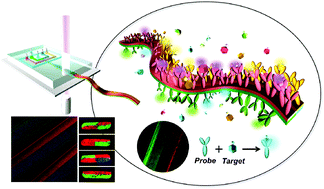 Graphical abstract: High-throughput optofluidic platforms for mosaicked microfibers toward multiplex analysis of biomolecules