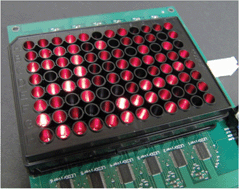 Graphical abstract: Optical microplates for high-throughput screening of photosynthesis in lipid-producing algae