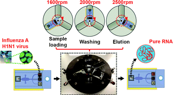 Graphical abstract: A rotary microsystem for simple, rapid and automatic RNA purification