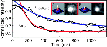 Graphical abstract: Solute transport on the sub 100 ms scale across the lipid bilayer membrane of individual proteoliposomes