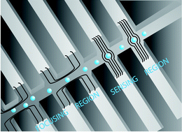 Graphical abstract: Characterization of a novel impedance cytometer design and its integration with lateral focusing by dielectrophoresis