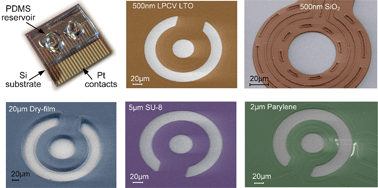 Graphical abstract: A comparative study on fabrication techniques for on-chip microelectrodes