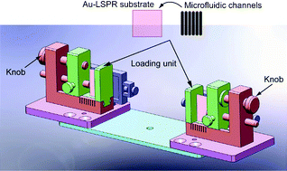 Graphical abstract: Towards a high-throughput label-free detection system combining localized-surface plasmon resonance and microfluidics