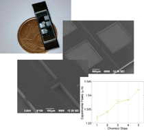 Graphical abstract: Optofluidic microsystems with integrated vertical one-dimensional photonic crystals for chemical analysis