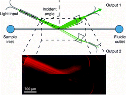 Graphical abstract: Optofluidic micro-sensors for the determination of liquid concentrations