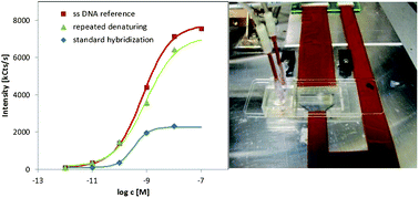 Graphical abstract: Improving DNA capture on microarrays by integrated repeated denaturing