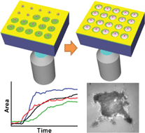 Graphical abstract: High-throughput quantitative imaging of cell spreading dynamics by multi-step microscopy projection photolithography based on a cell-friendly photoresist