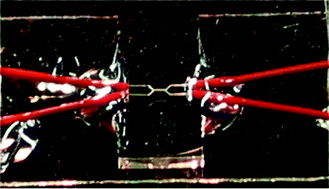 Graphical abstract: Optofluidic integrated cell sorter fabricated by femtosecond lasers