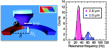 Graphical abstract: Integrated capture, transport, and magneto-mechanical resonant sensing of superparamagnetic microbeads using magnetic domain walls