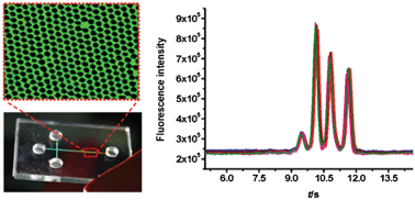 Graphical abstract: One-step packing of anti-voltage photonic crystals into microfluidic channels for ultra-fast separation of amino acids and peptides