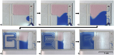 Graphical abstract: A phaseguided passive batch microfluidic mixing chamber for isothermal amplification