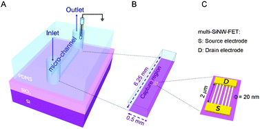 Graphical abstract: Improved silicon nanowire field-effect transistors for fast protein–protein interaction screening