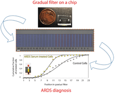 Graphical abstract: Passive circulating cell sorting by deformability using a microfluidic gradual filter