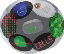 Graphical abstract: Microfluidic probes for use in life sciences and medicine