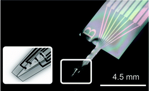 Graphical abstract: Novel flexible Parylene neural probe with 3D sheath structure for enhancing tissue integration