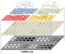 Graphical abstract: Luminometric sub-nanoliter droplet-to-droplet array (LUMDA) and its application to drug screening by phase I metabolism enzymes