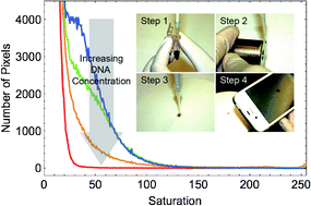 Graphical abstract: Label-free DNA quantification via a ‘pipette, aggregate and blot’ (PAB) approach with magnetic silica particles on filter paper